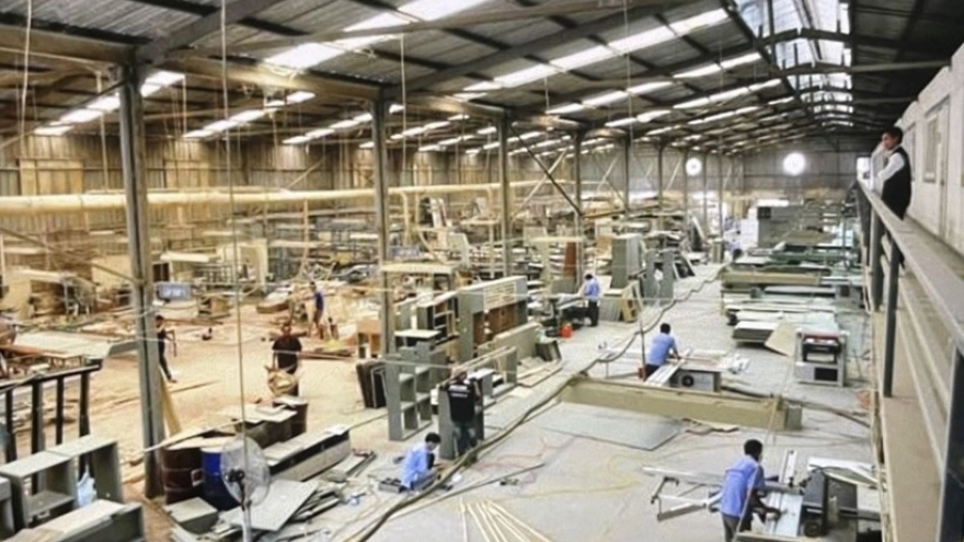 Ho Chi Minh City eyes regional wood hub status with green push